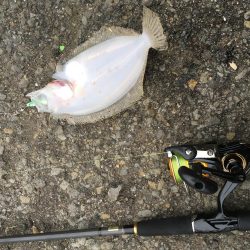 雪の降る中でジグサビキ